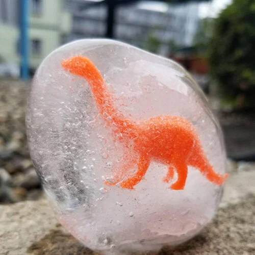 サマースクールのテーマ１日目：Dinosaur（恐竜） 