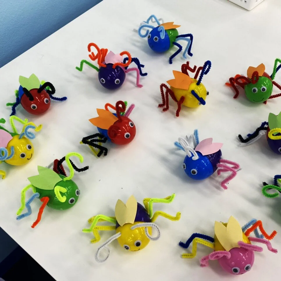 サマースクールのテーマ：Bugs (虫)