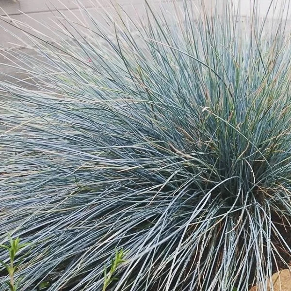Surrounded by Texture Inspiration