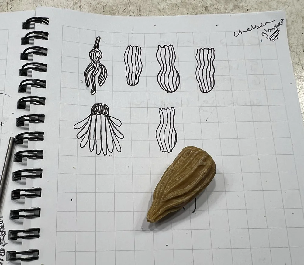 transforming a sketch