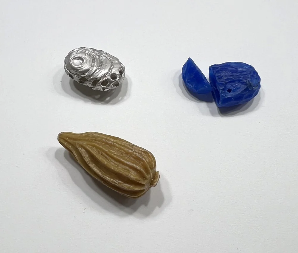 student samples