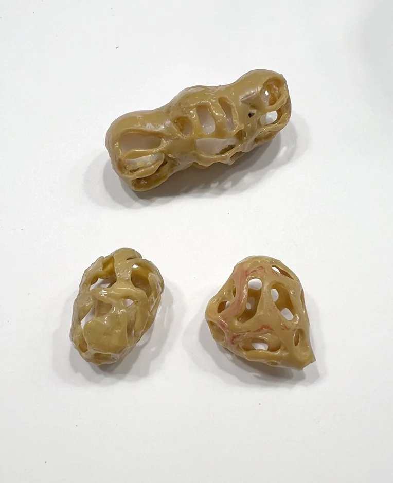 student samples