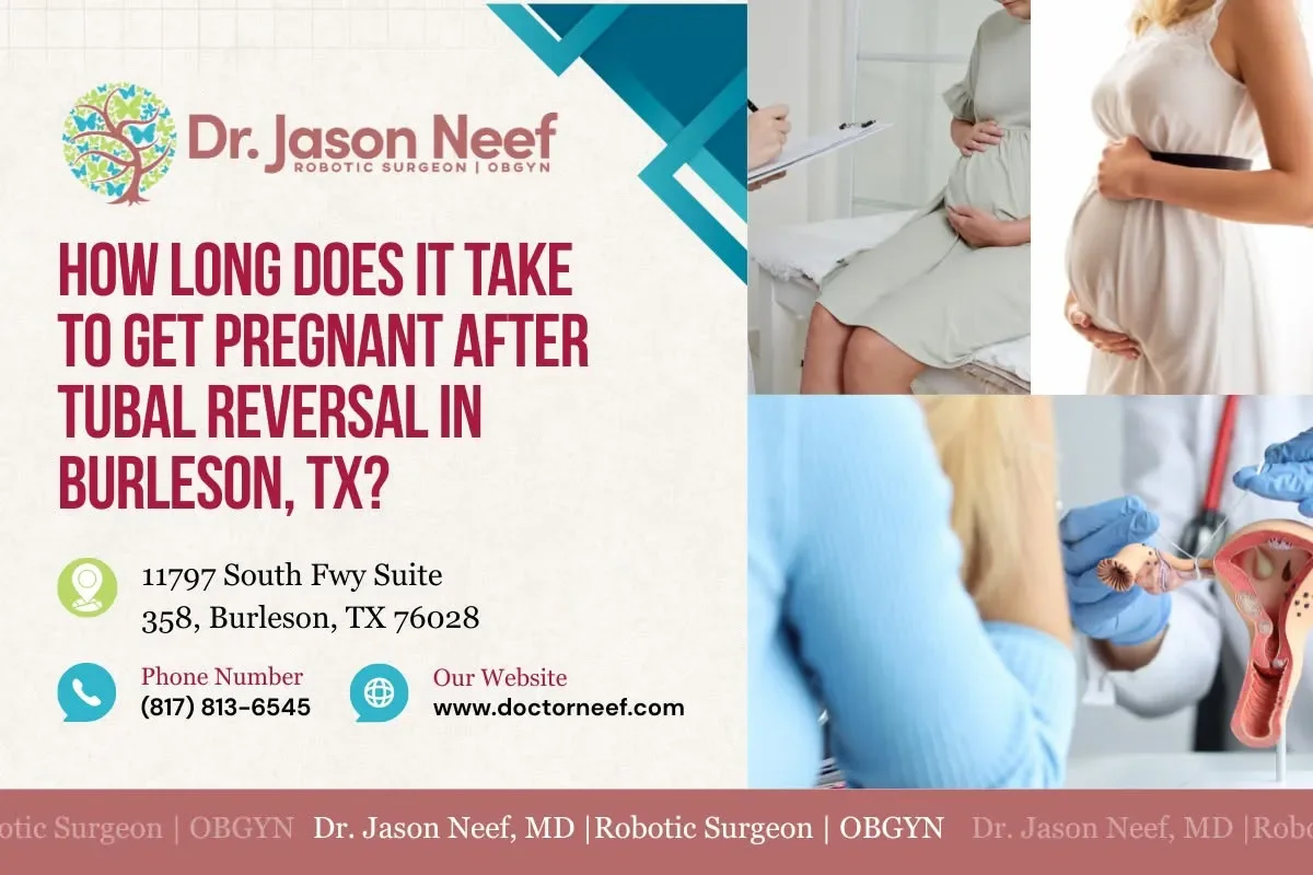 How Long Does It Take to Get Pregnant After Tubal Reversal in Burleson, TX?