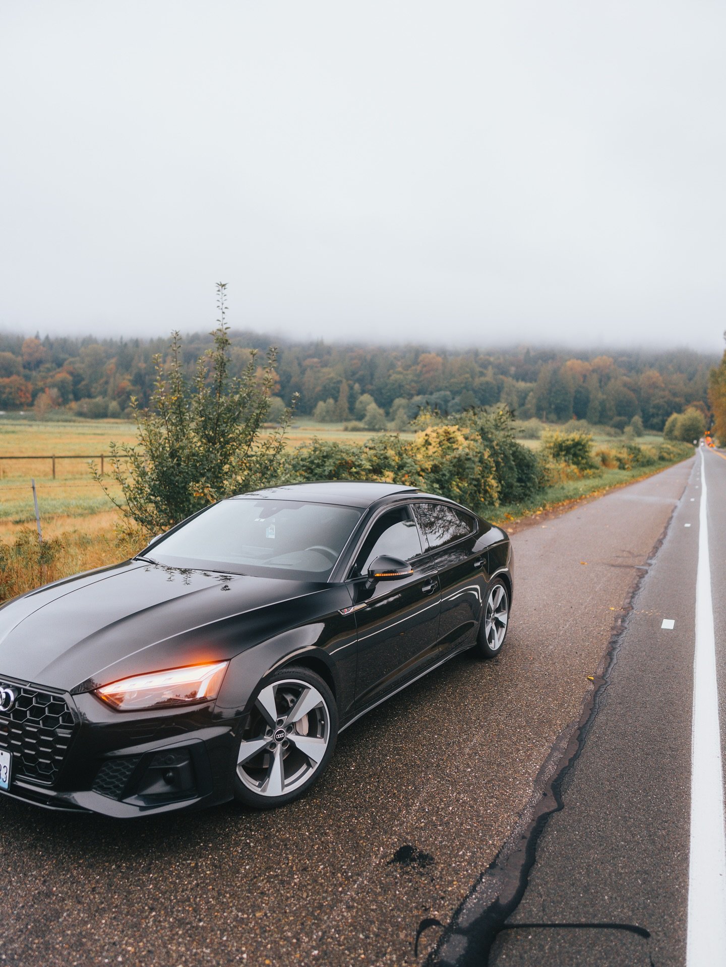 Tis the season of Autumn 🍂 
-
#audi #audia5 #a5 #b9 #audib9 #sline