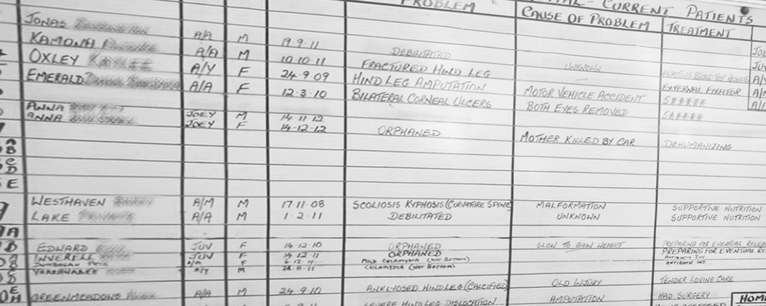 Example of an OR whiteboard showing operations scheduled for the day. This is a common practice in the operating room for many hospitals in the United States.