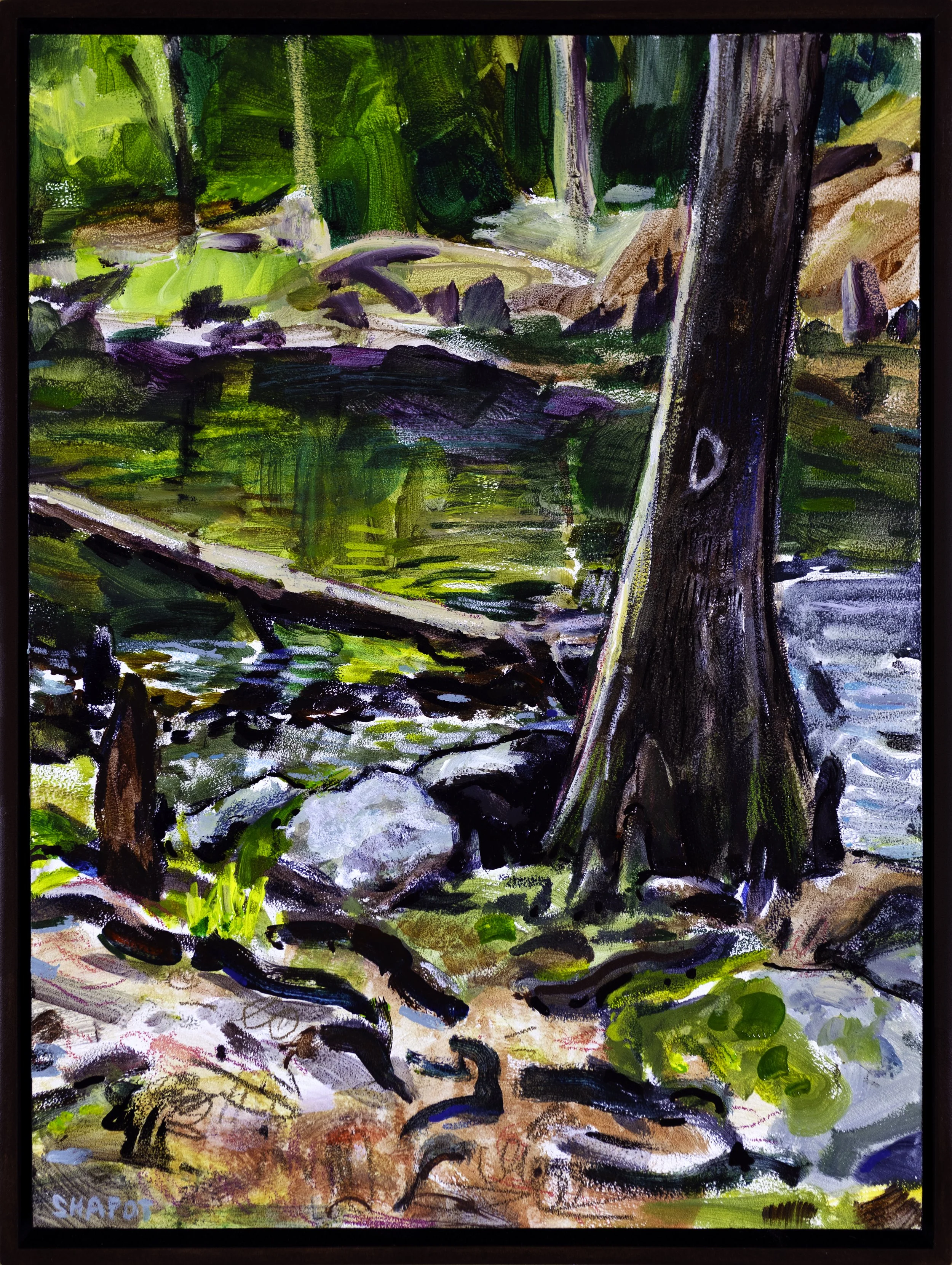 D's Tree on the Santa Fe River (Framed).jpg