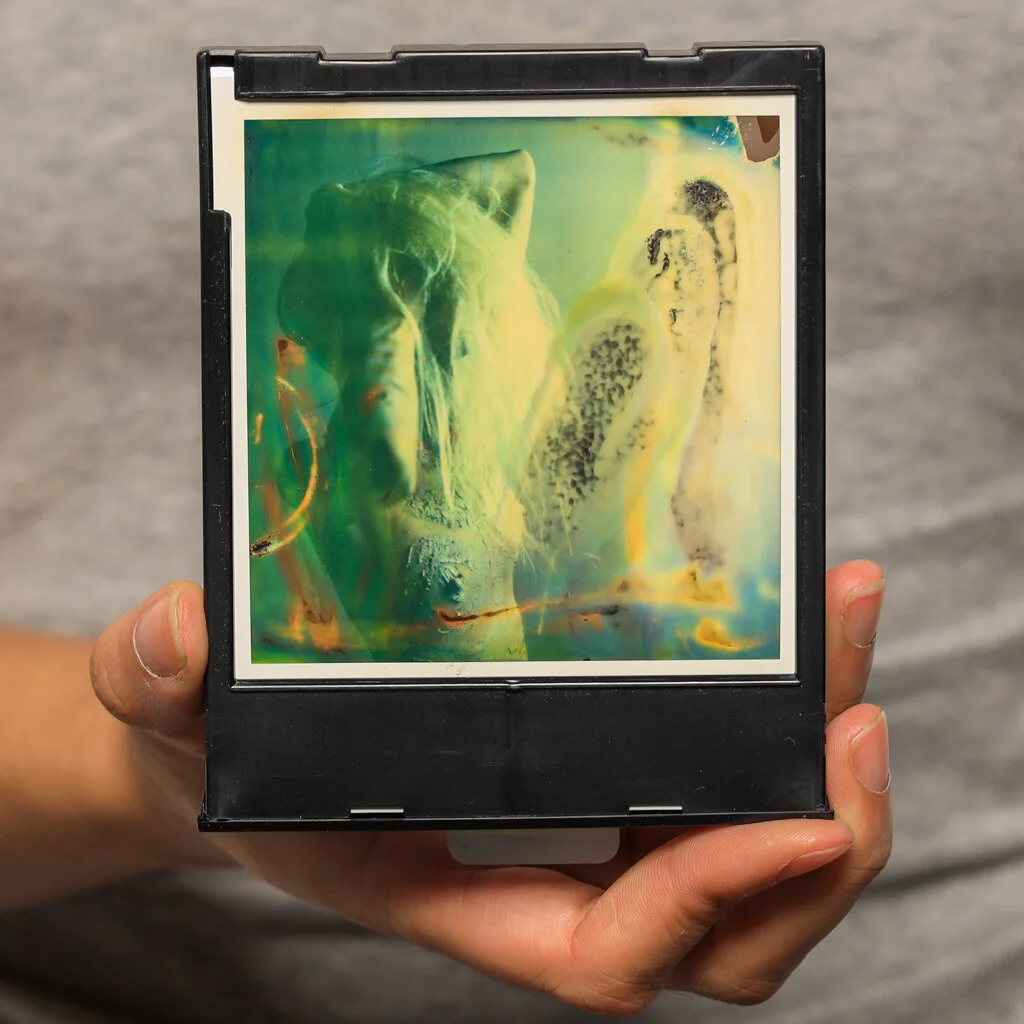 PolaroidLowRes-198.jpg