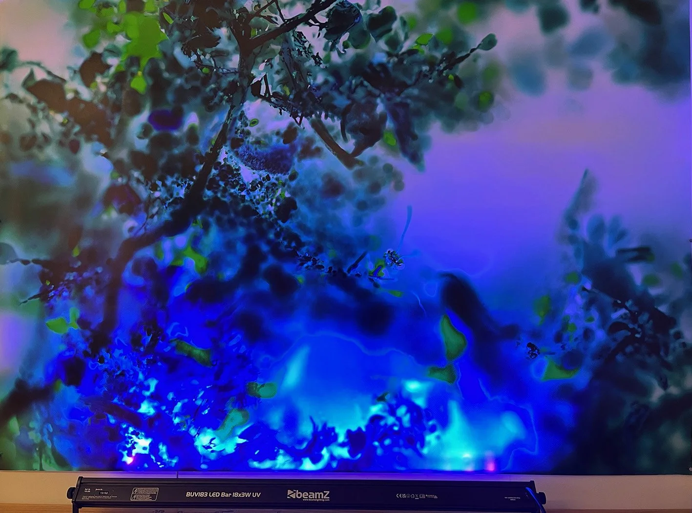 umwelt I uv process 1.jpg