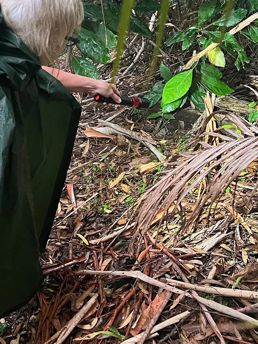 jane bb in-situ 1.jpg