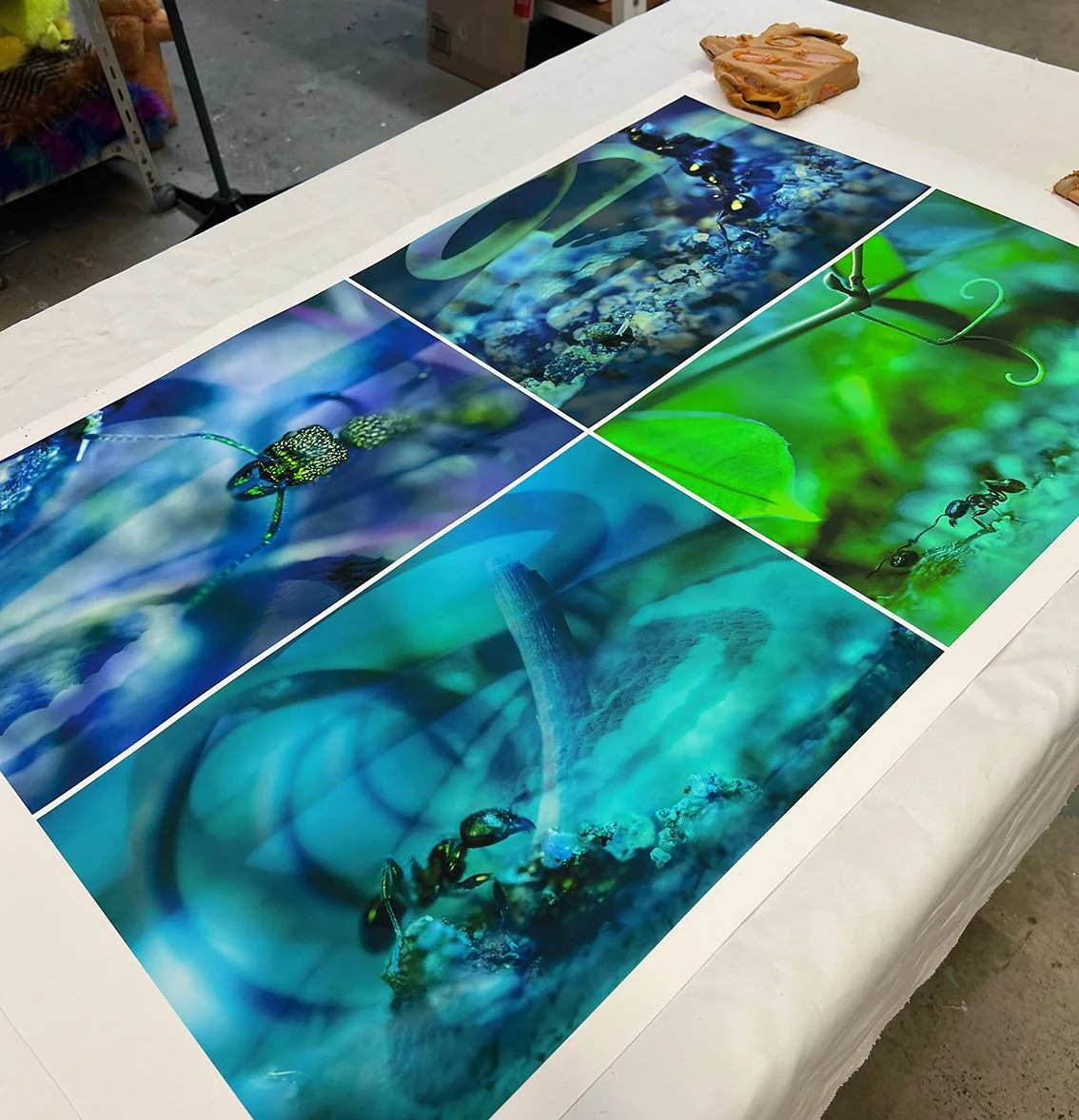 backyard macro printing.jpg