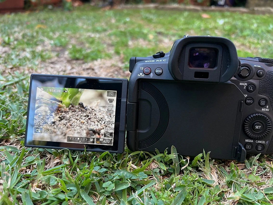 backyard macro process 1.jpg