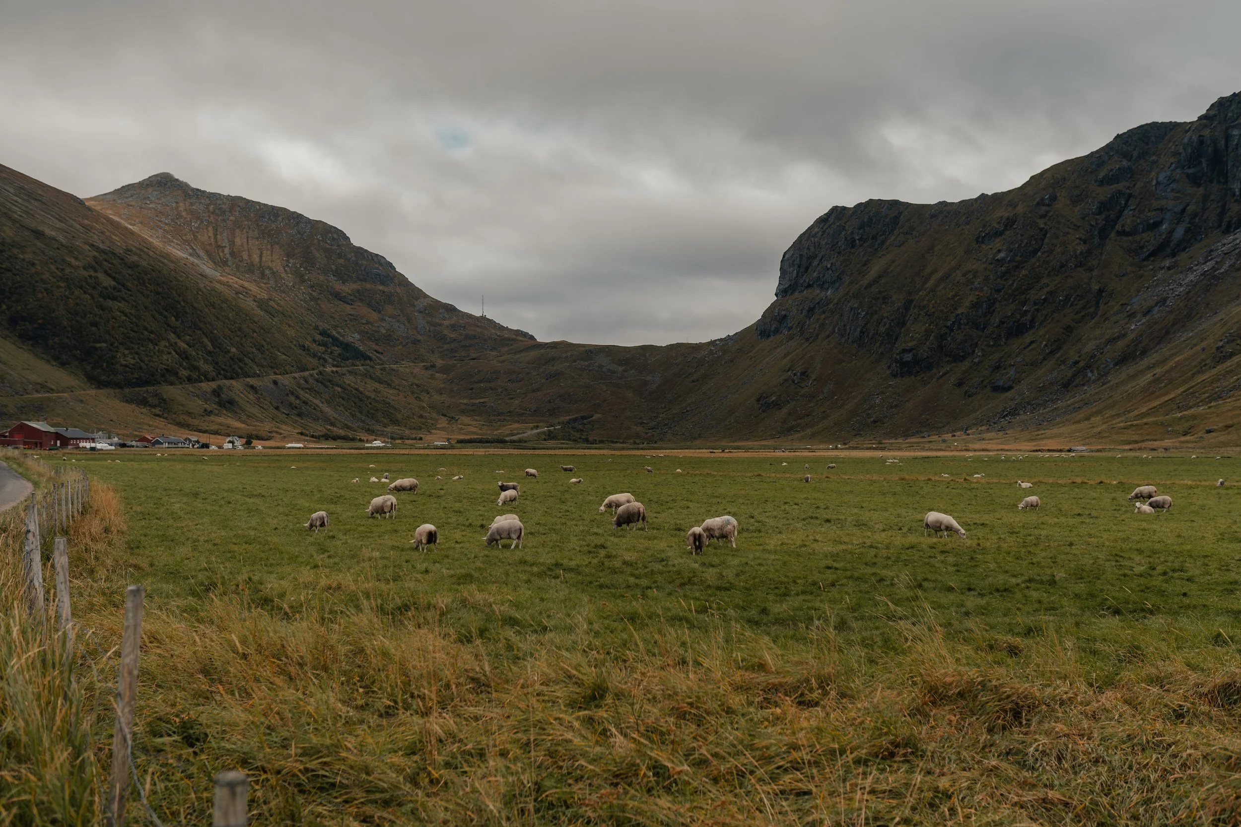 norway-portfolio-51.jpg