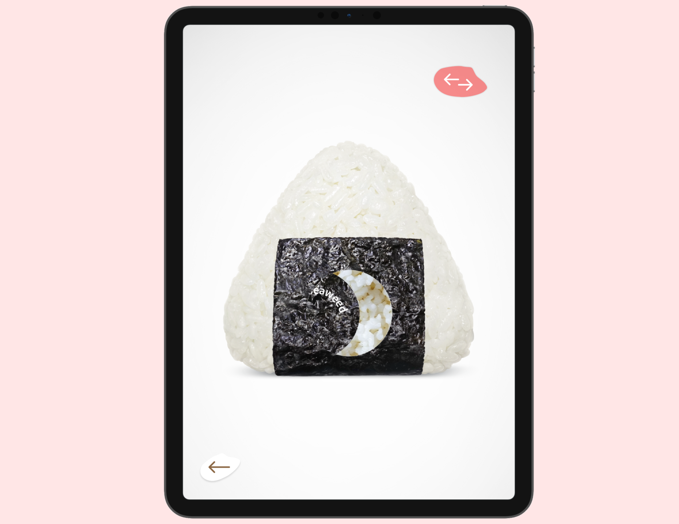 Rice Book - Print & Digital