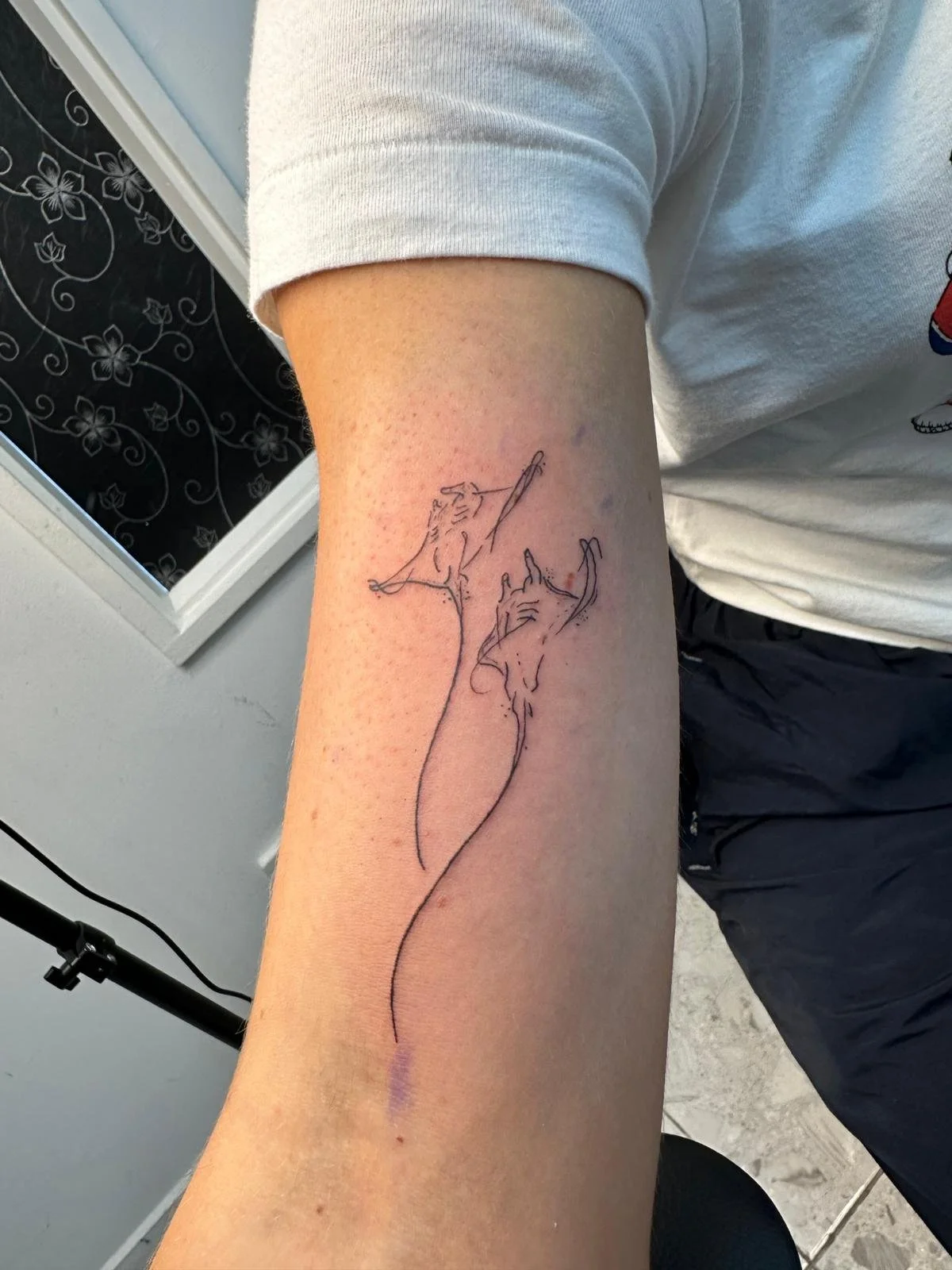 WhatsApp Image 2026-04-16 at 14.34.21 (1).jpeg