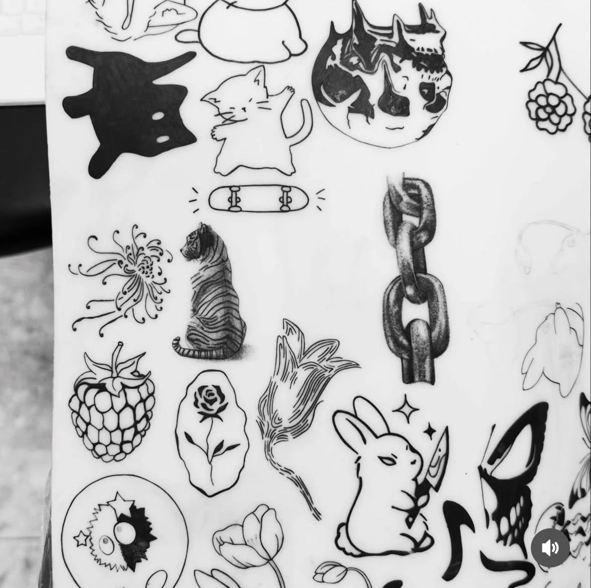 WhatsApp Image 2026-04-16 at 14.17.36 (1).jpeg