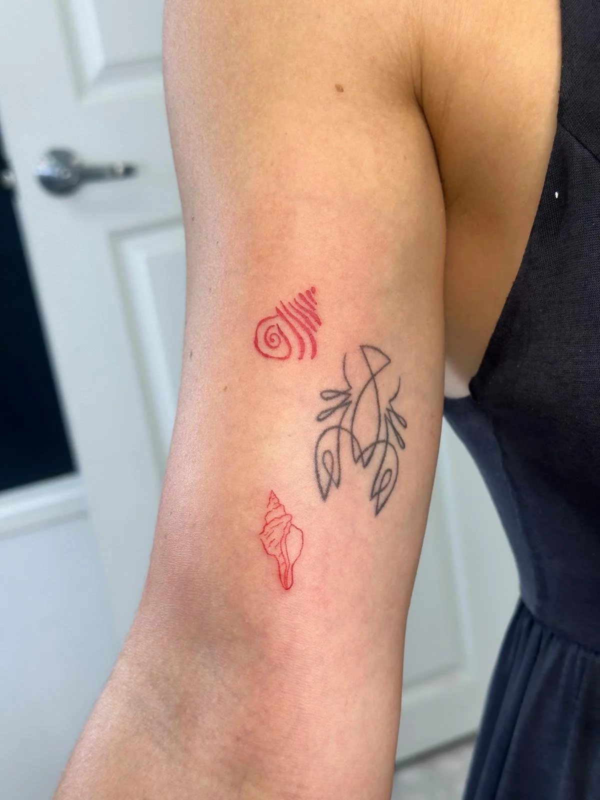 WhatsApp Image 2026-04-16 at 14.34.22 (1).jpeg