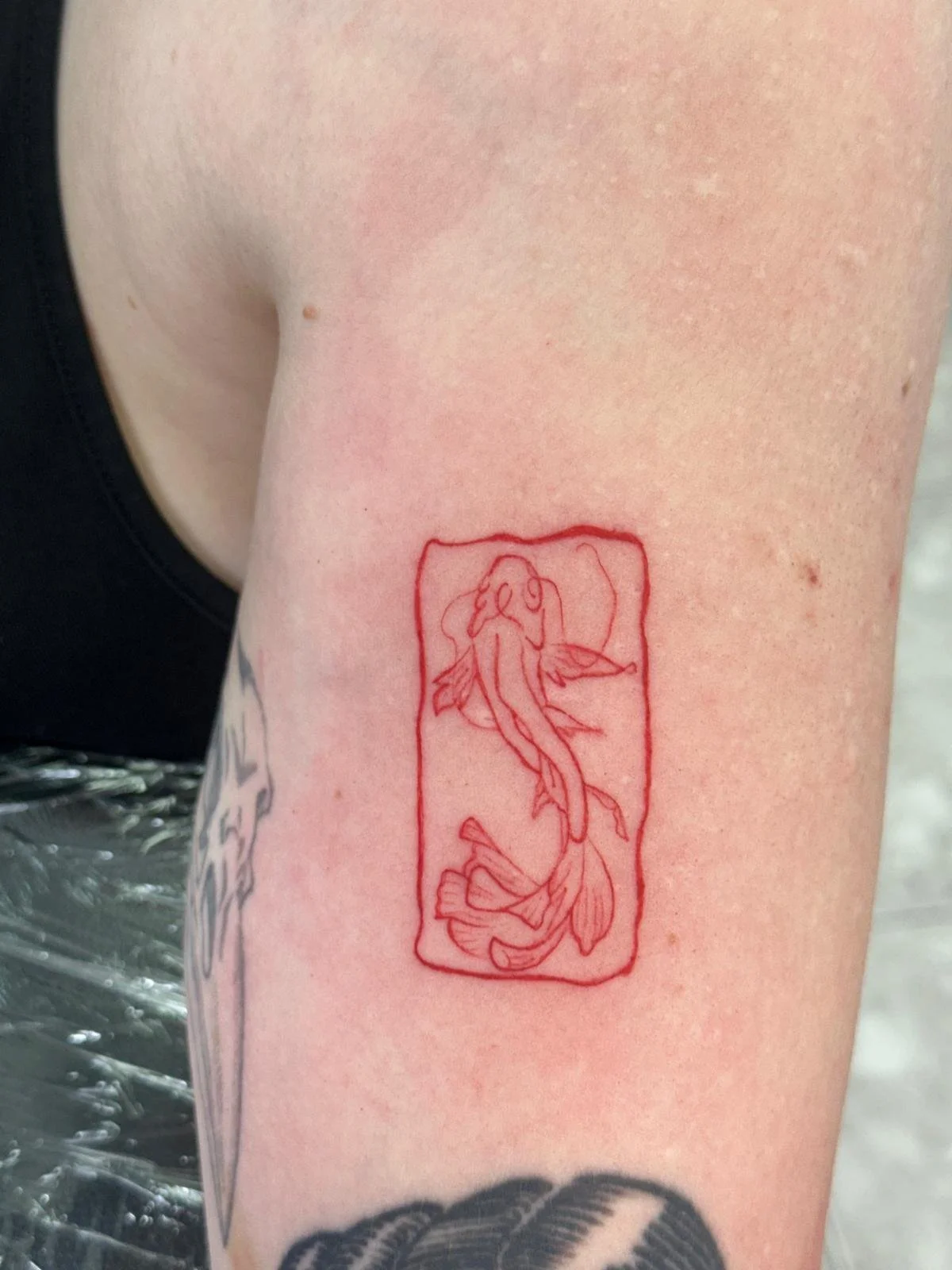 WhatsApp Image 2026-04-16 at 14.34.21.jpeg