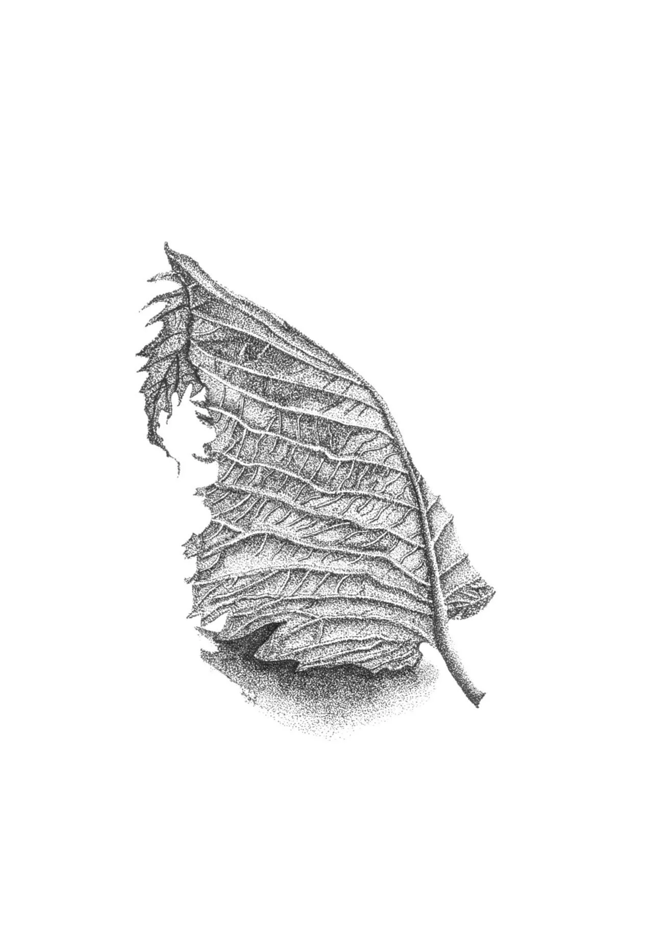 WhatsApp Image 2026-04-16 at 14.34.23.jpeg