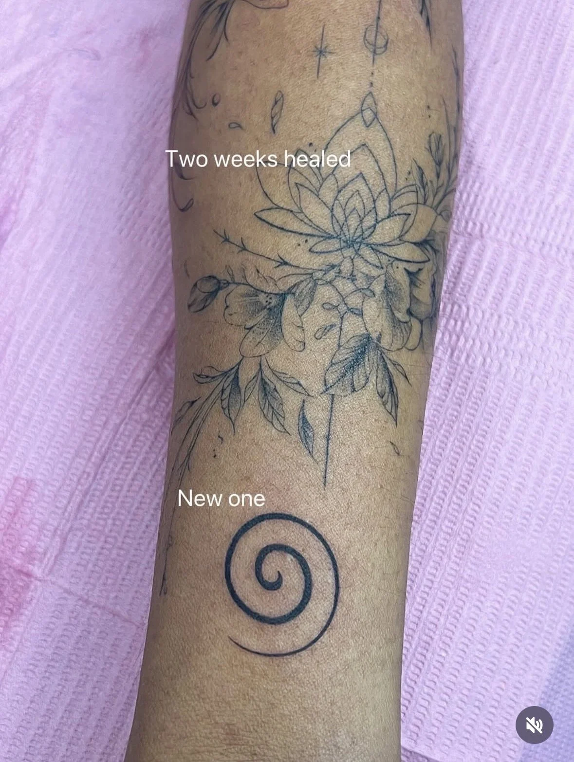 IMG_9814.jpg