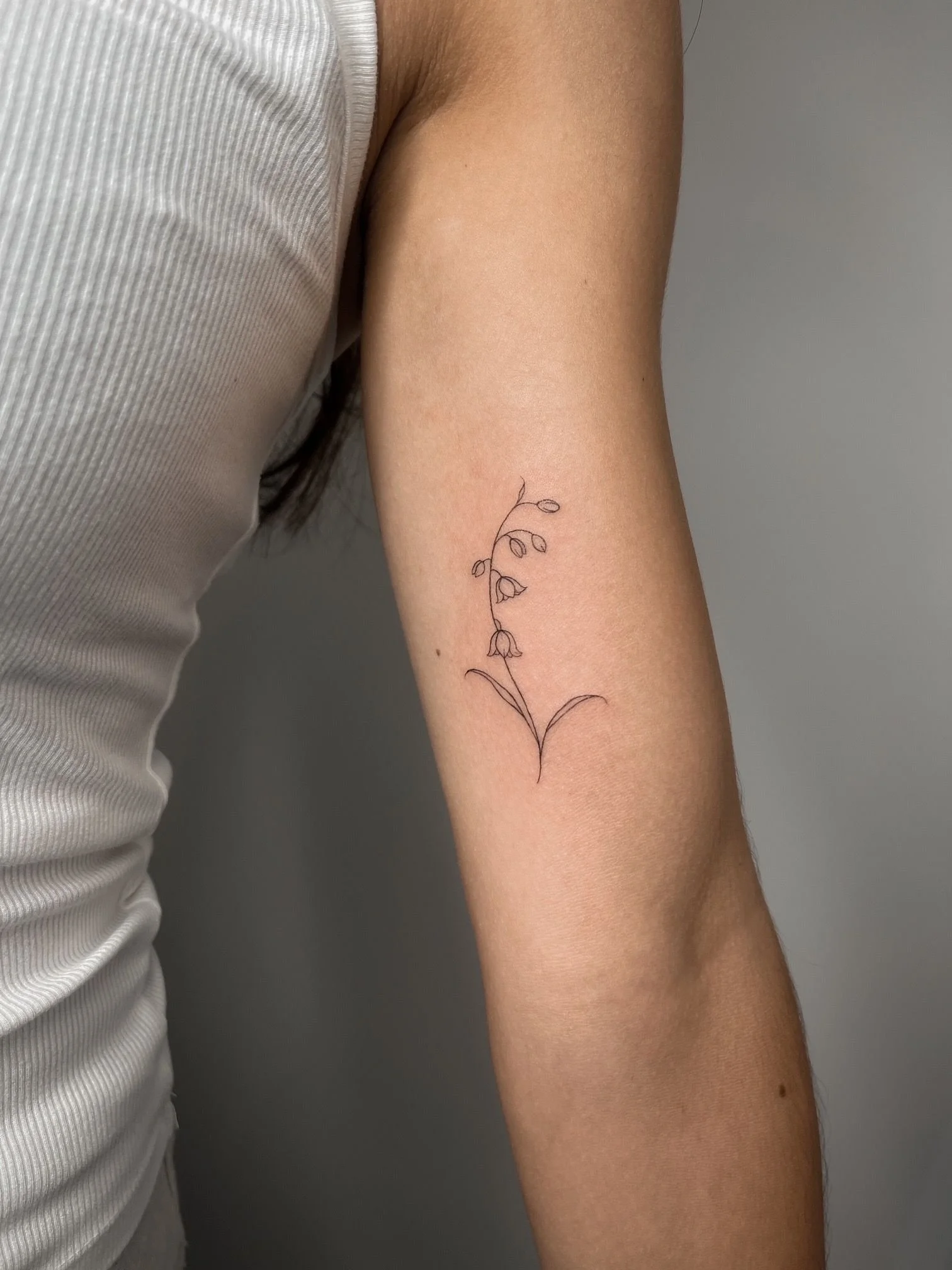 WhatsApp Image 2026-02-18 at 21.45.35 (3).jpeg