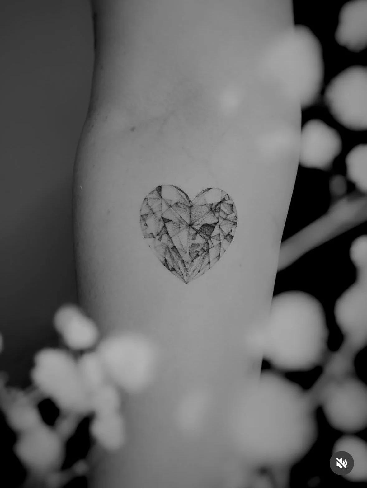IMG_9930.jpg