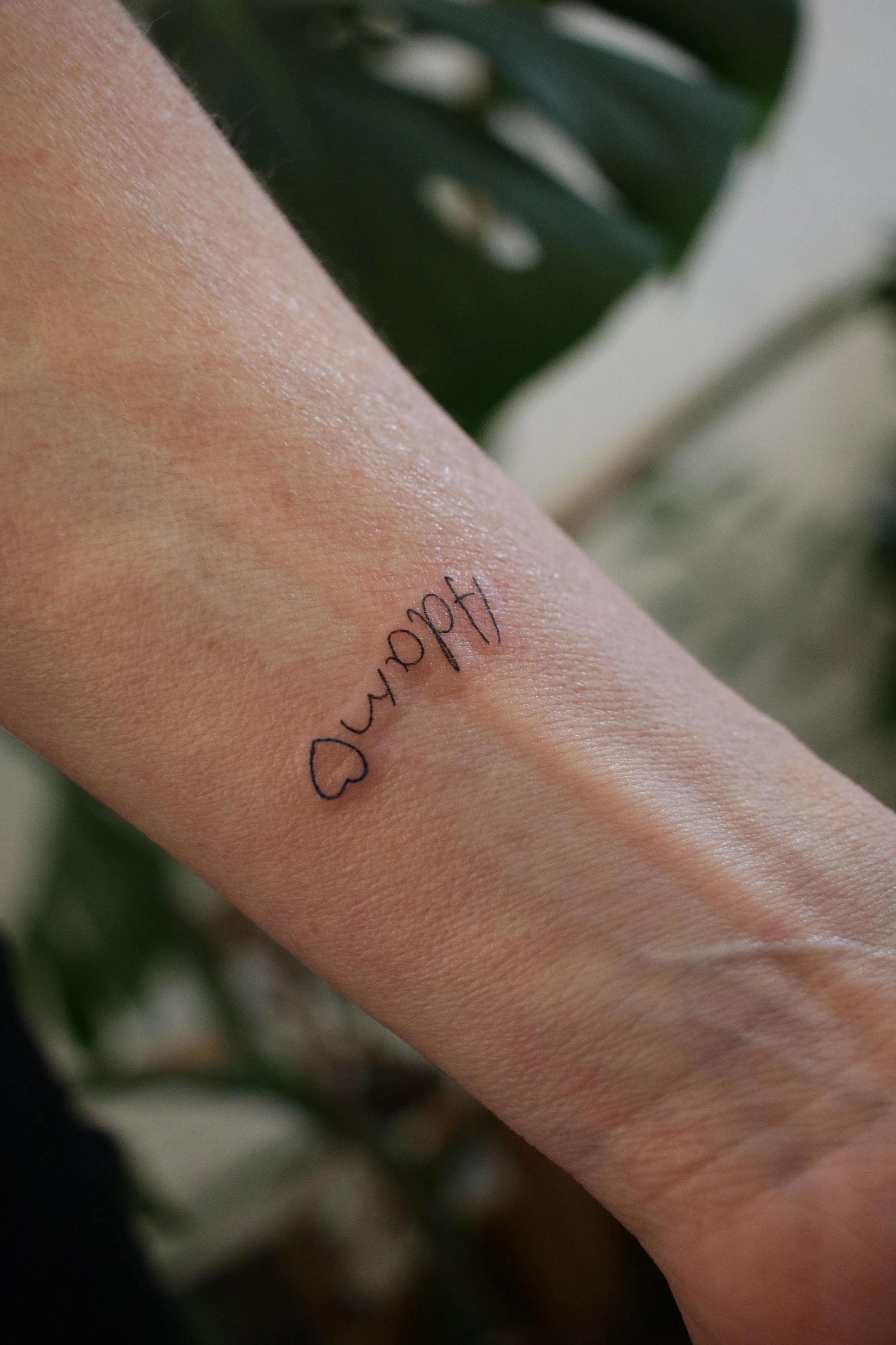 WhatsApp Image 2026-02-19 at 17.43.40.jpeg