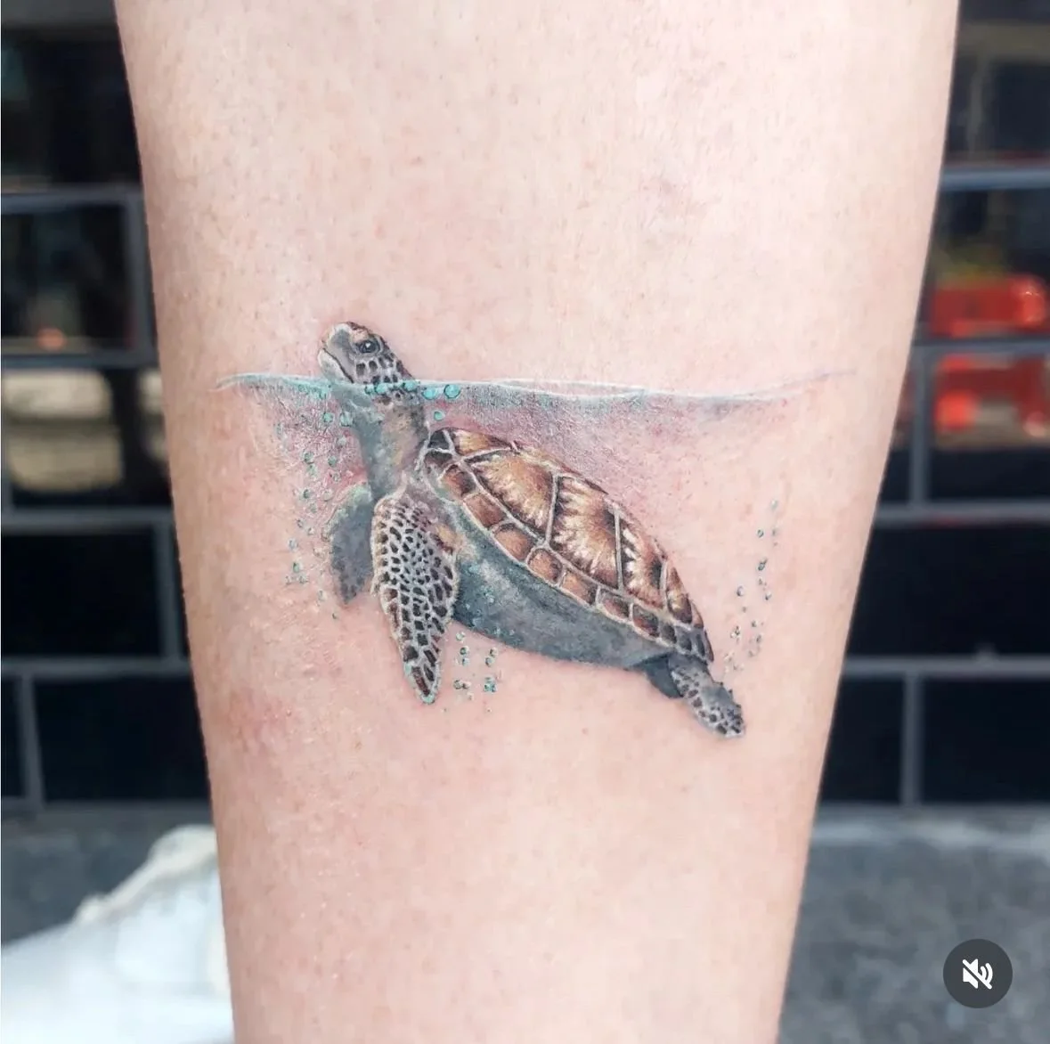 WhatsApp Image 2025-12-16 at 16.49.14 (1).jpeg