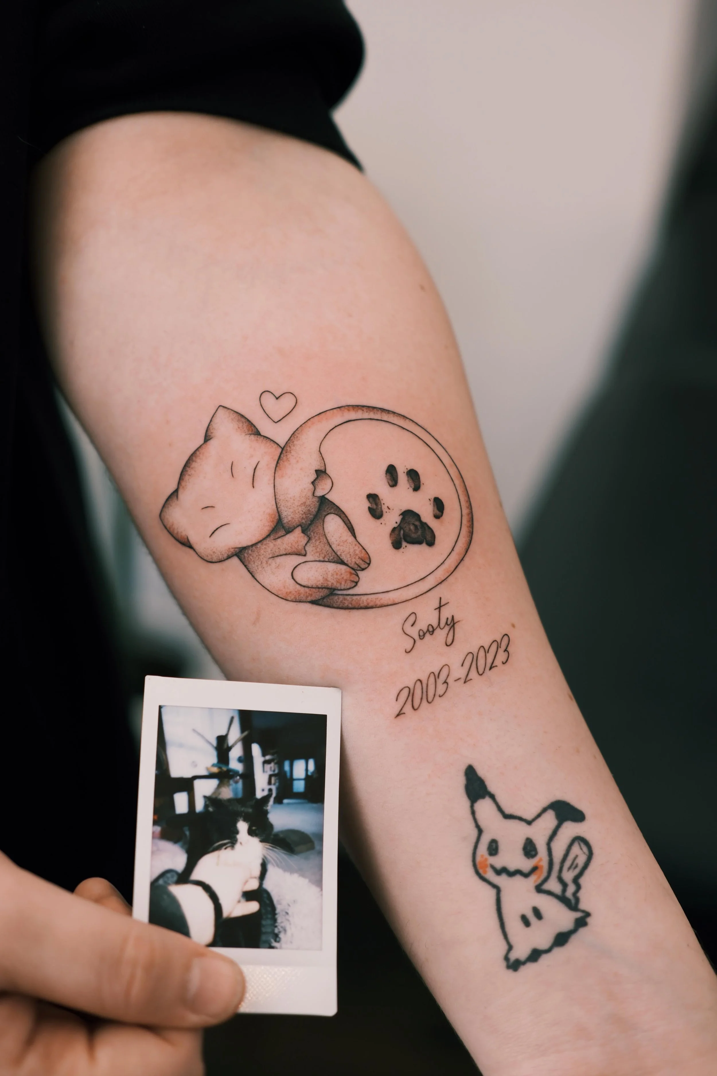 WhatsApp Image 2026-02-19 at 17.58.18.jpeg