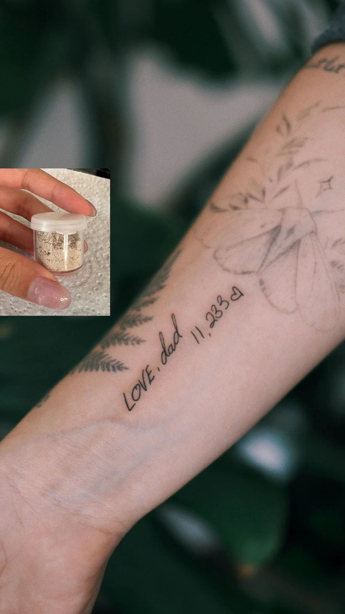 WhatsApp Image 2026-02-19 at 17.17.36.jpeg