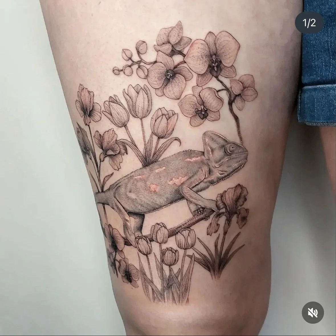 WhatsApp Image 2025-12-16 at 16.49.15.jpeg