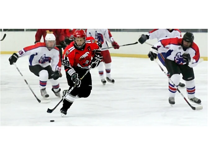 ice hockey trainer