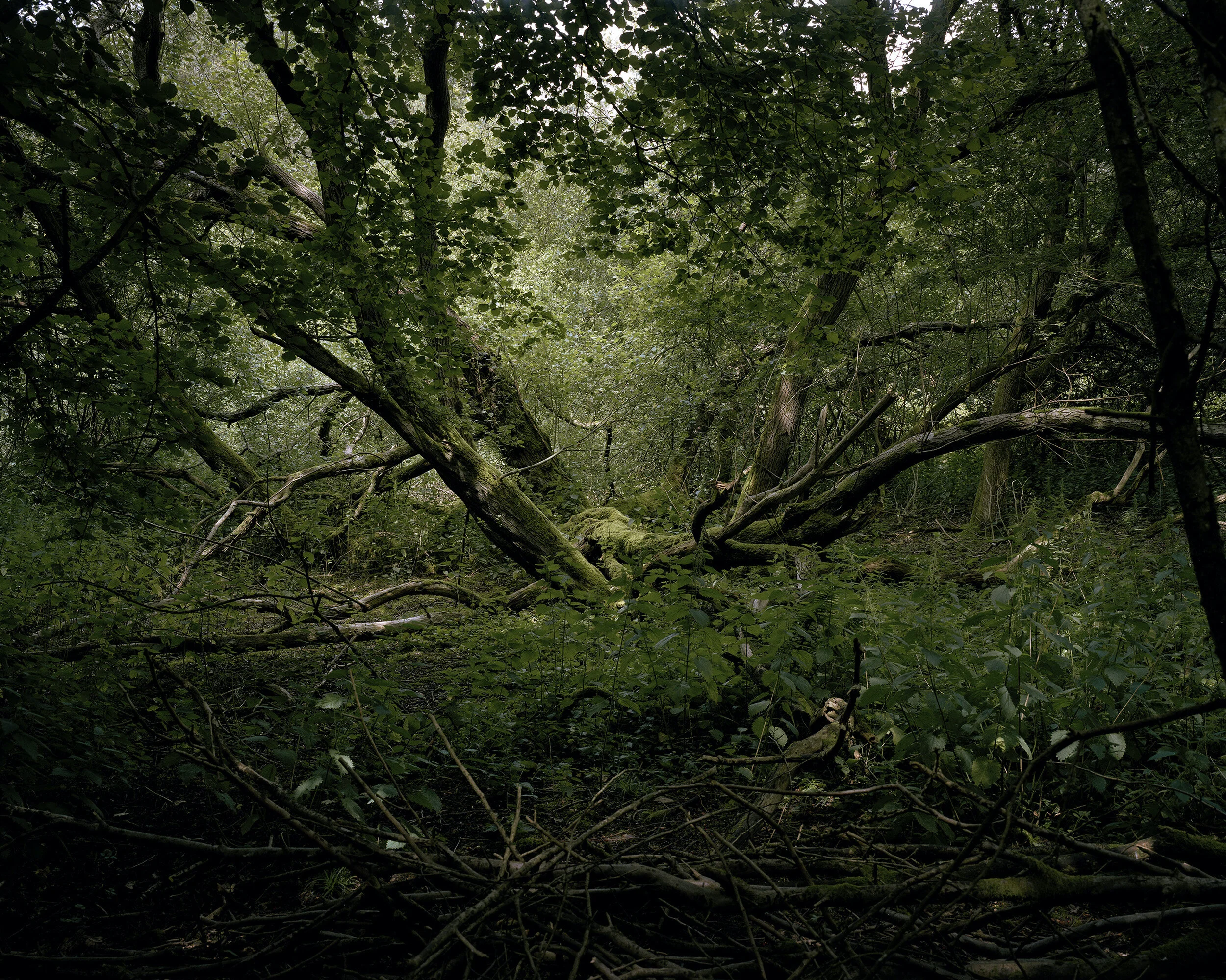 Artist Residency 2020 - 12 Artists 'At Home'