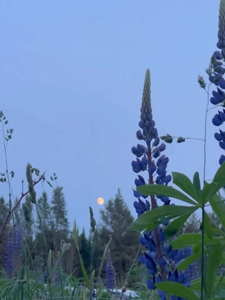 Co-creating with the universe 💜