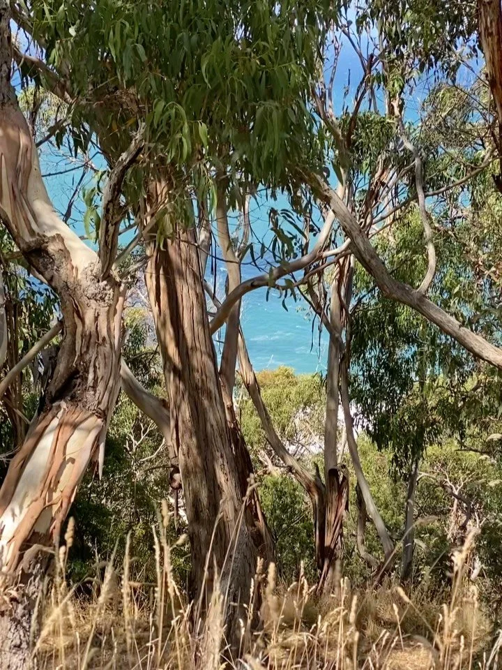 I&rsquo;ve been taking a quieter season after a very full year of teaching, retreats, and corporate work.

There&rsquo;s a kind of momentum that can build when things are going well - more opportunities, more ideas, more output. And yet I found mysel