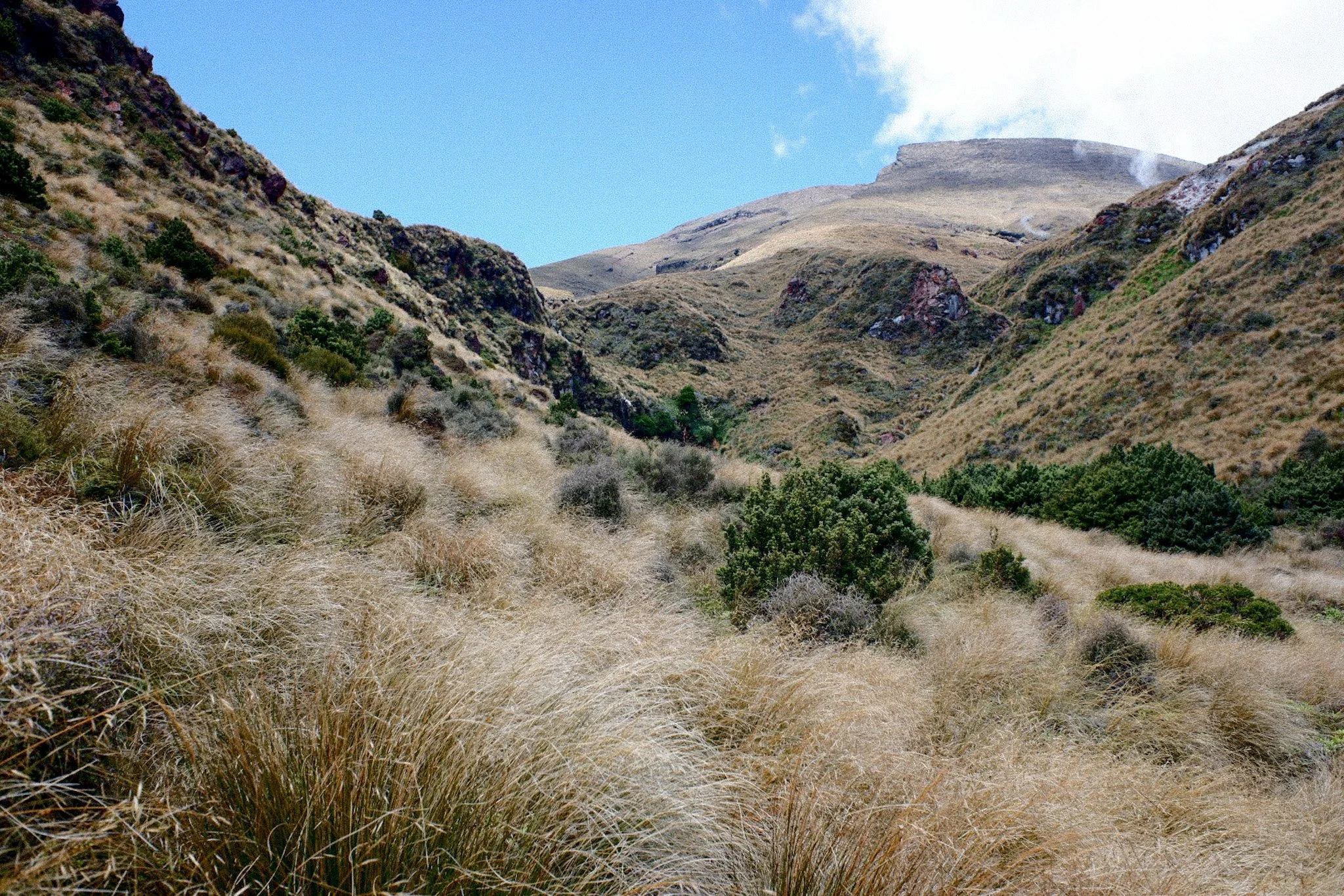 Hilly landscape with dry grasses and scattered green shrubs under clear blue sky.