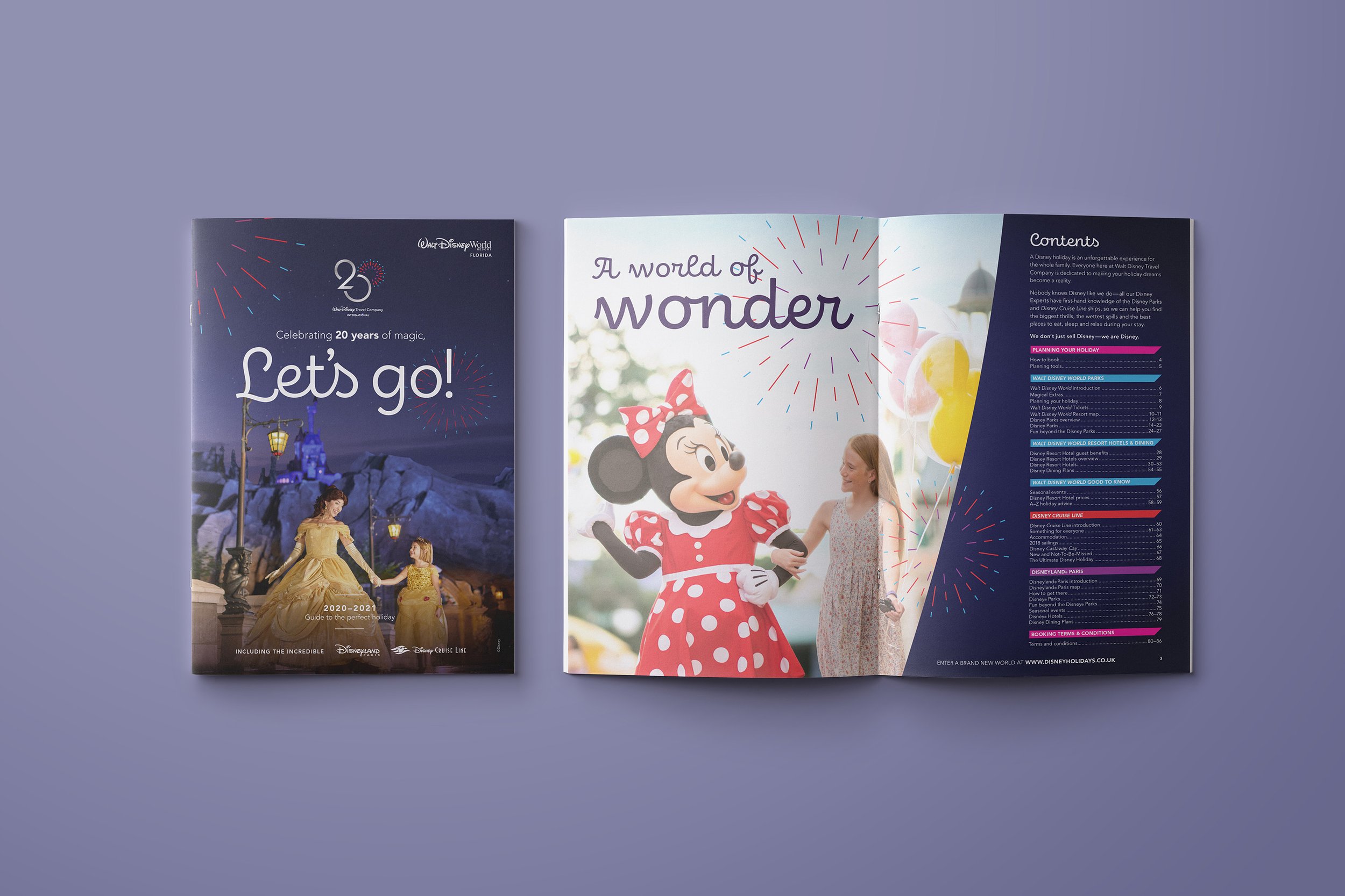 WDTC-Brochure.jpg