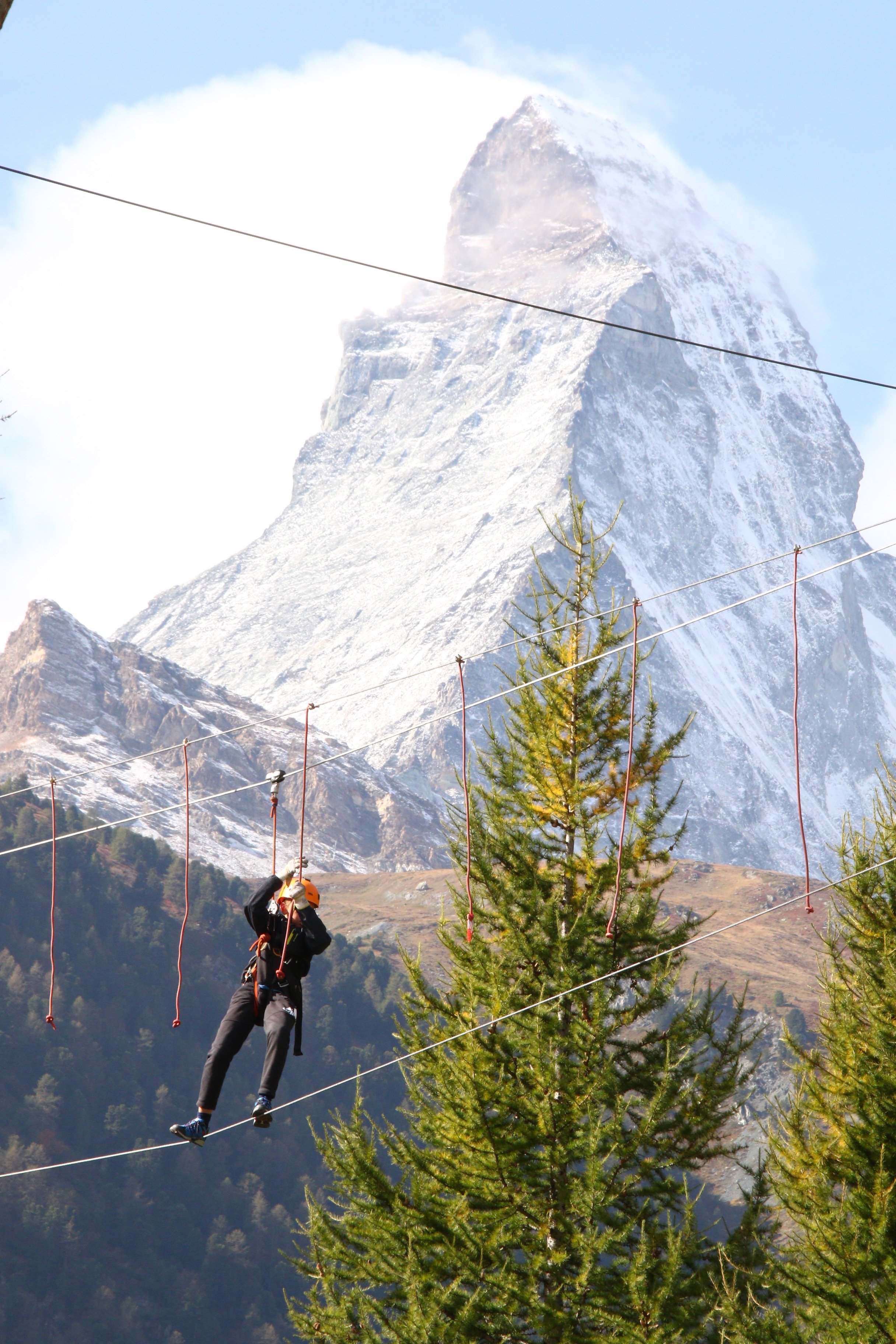 Forest Fun Park Zermatt with Kids: What to Expect