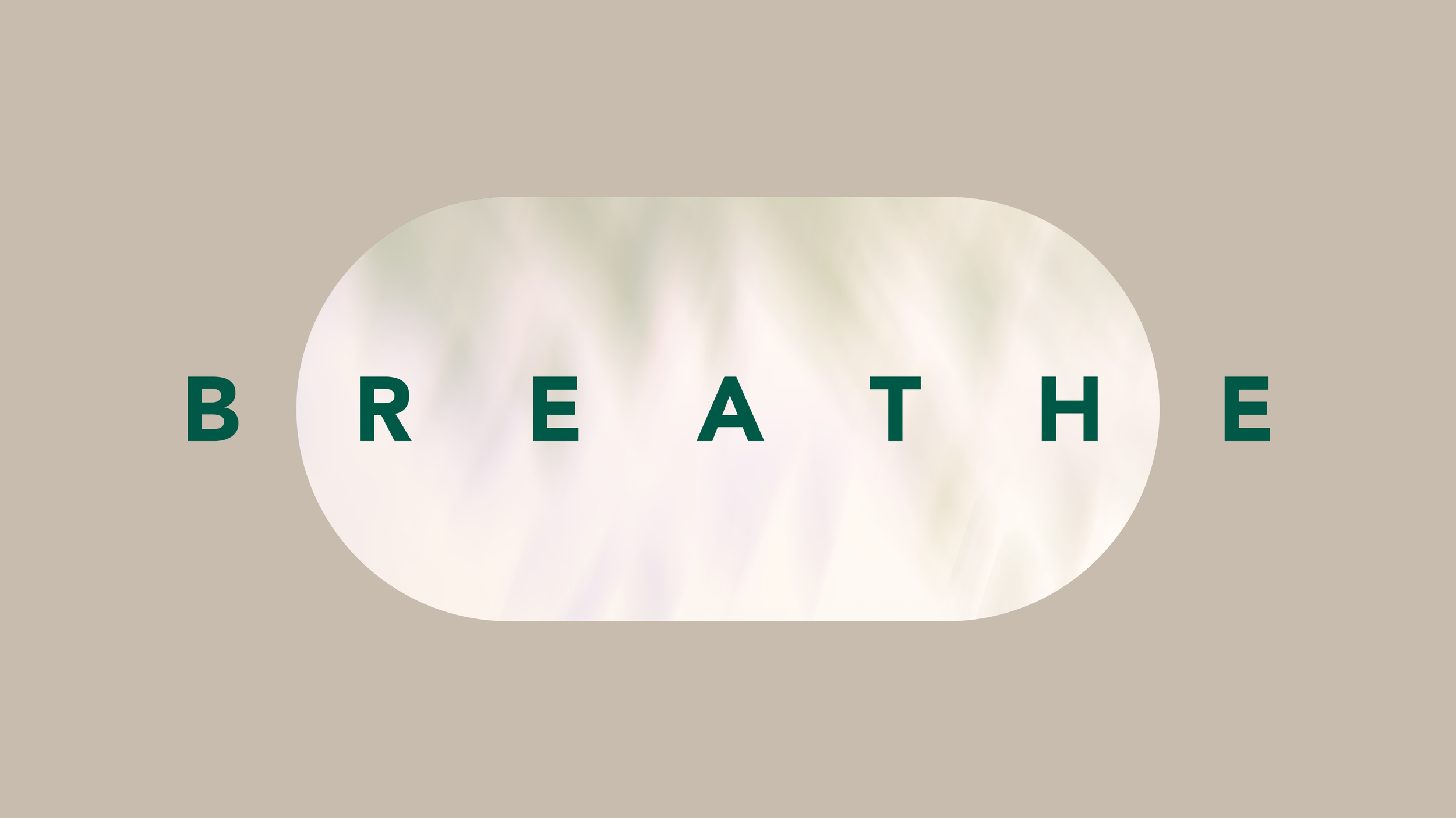 Breathe Summer Social