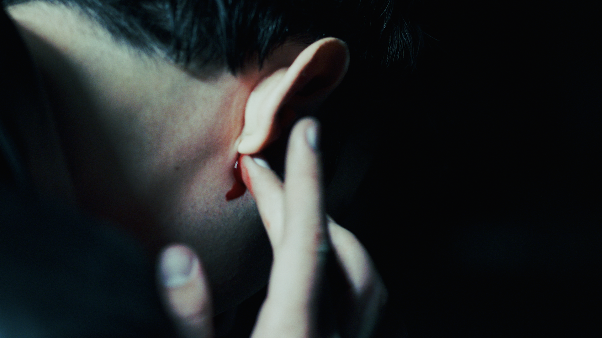 NOISE-3.png