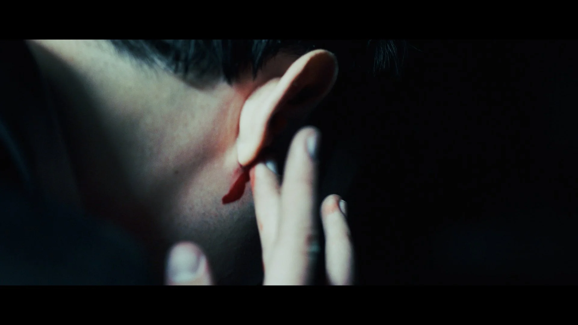 Still 2026-02-12 032919_1.1.31.jpg