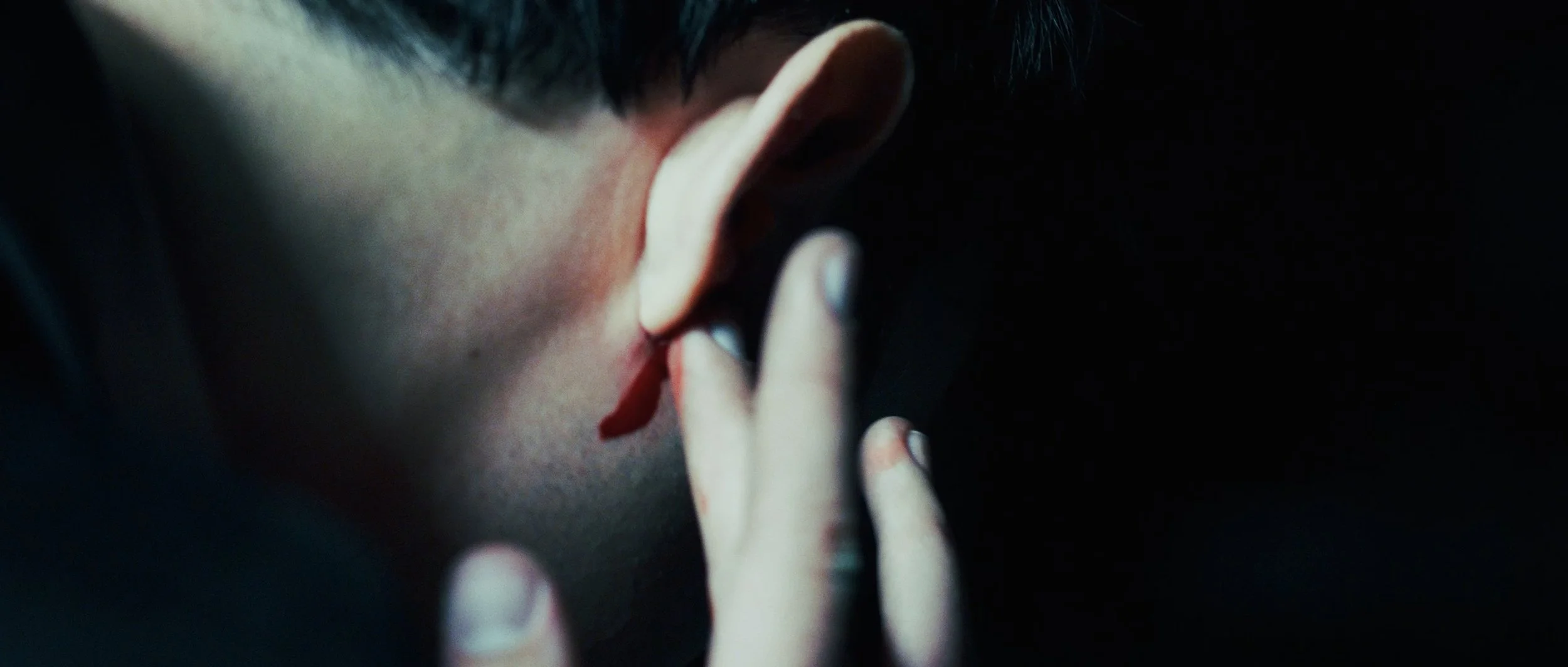 Still 2025-12-11 204200_1.1.64.jpg