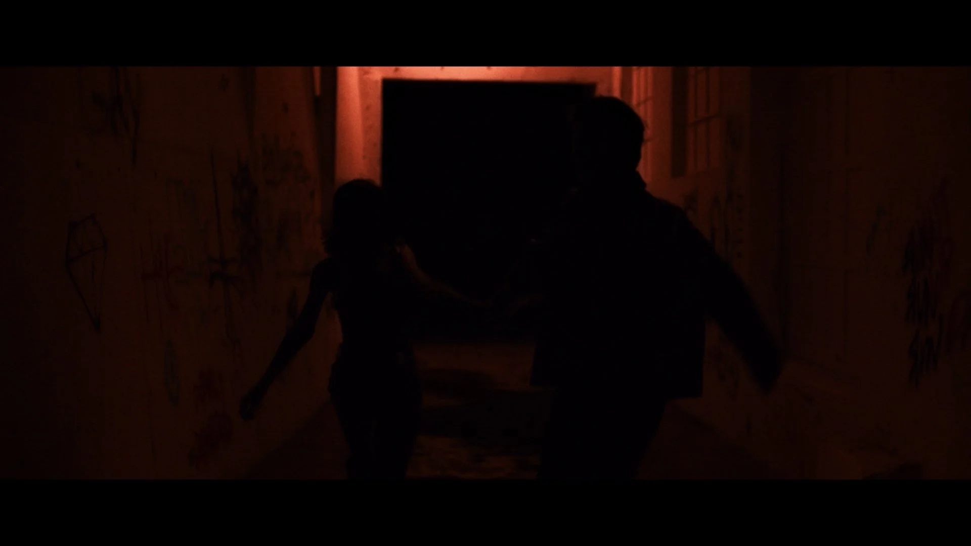 Still 2026-02-12 033412_1.1.11.jpg