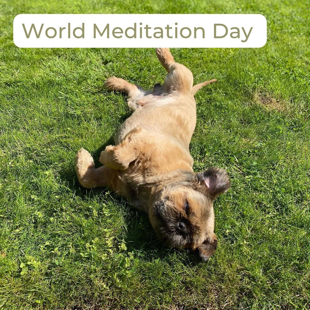 M I N D F U L // 
M O M E N T S

Today is #worldmeditationday and just like a good breakfast, it can give you the energy needed to face each day with clarity &amp; focus. 

It can help you find a moment of calm amidst the chaos 

Or it can help you d