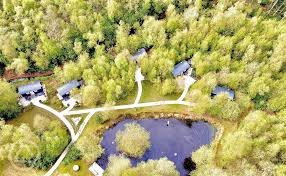 Overhead image.jpg