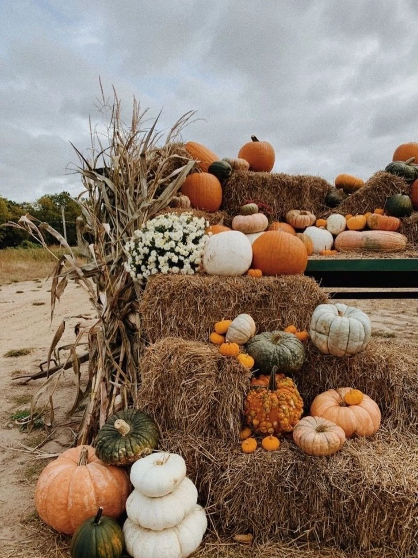 There&rsquo;s something really lovely about seeing local farms buzzing with families at this time of year. Beyond the pumpkin patches and seasonal treats, it&rsquo;s great to see people spending locally and supporting the farmers who make these exper