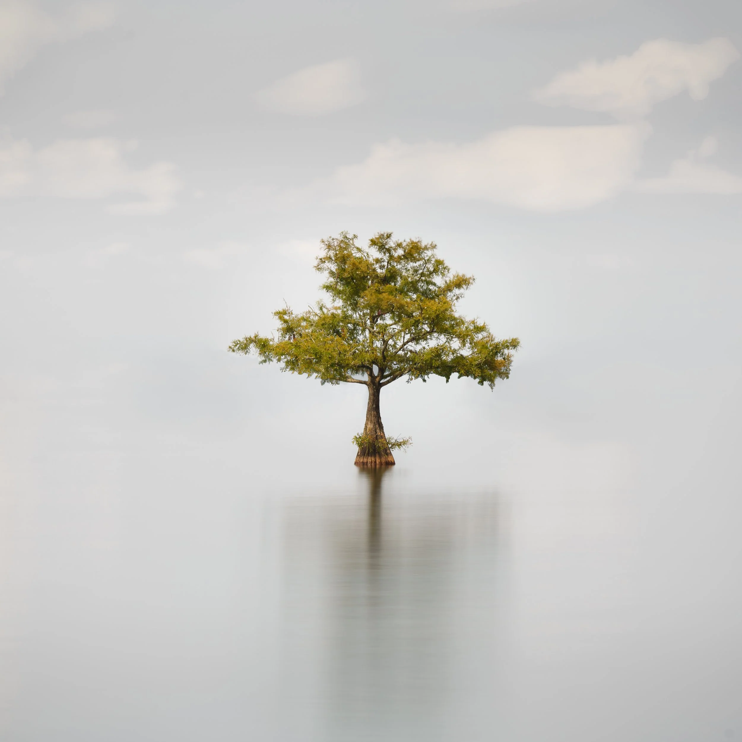 Lake Moultrie II.jpg