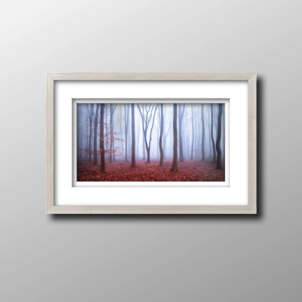 Surrey%2BTrees%2Bpano.jpg