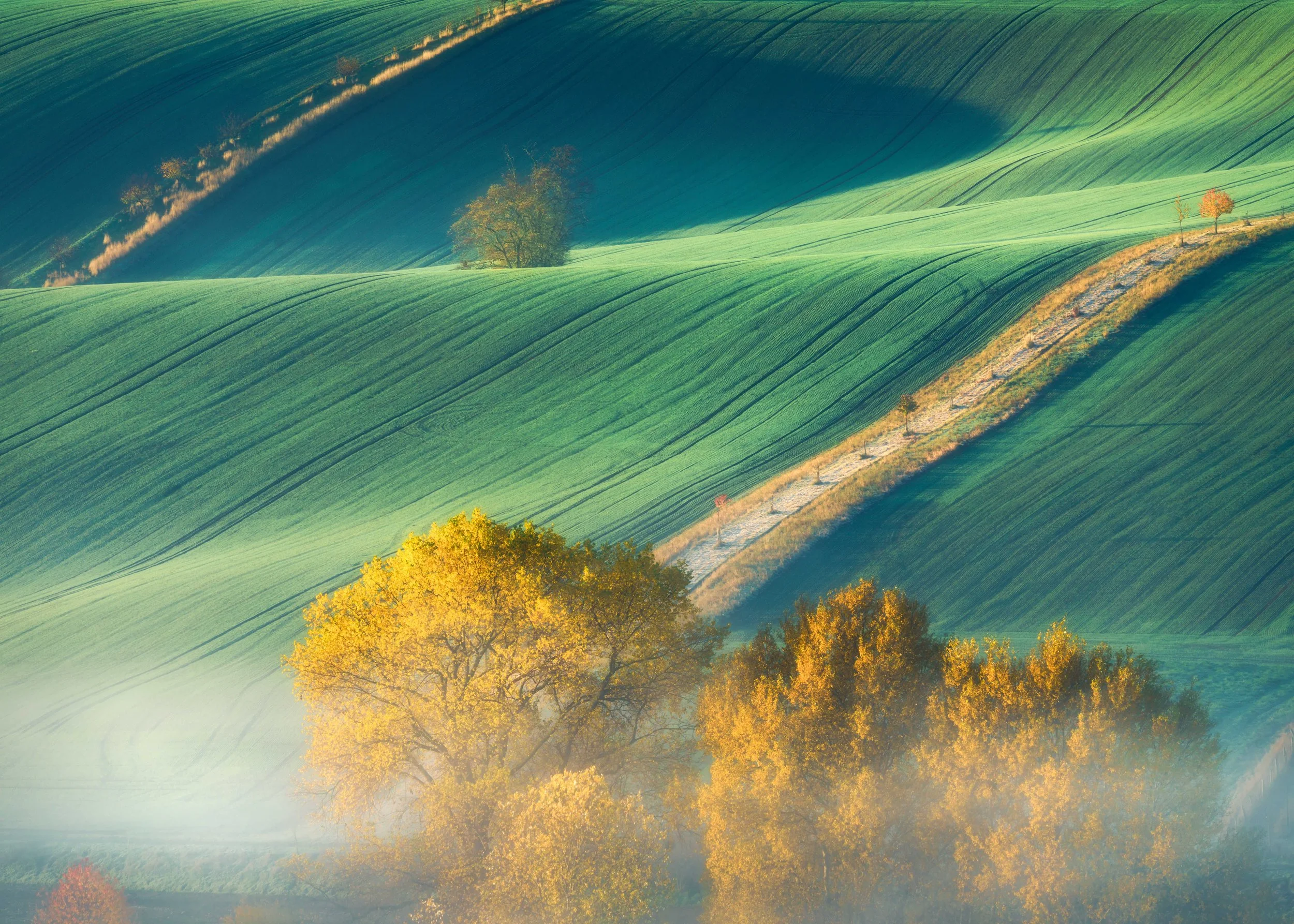 Moravia Lines.jpg