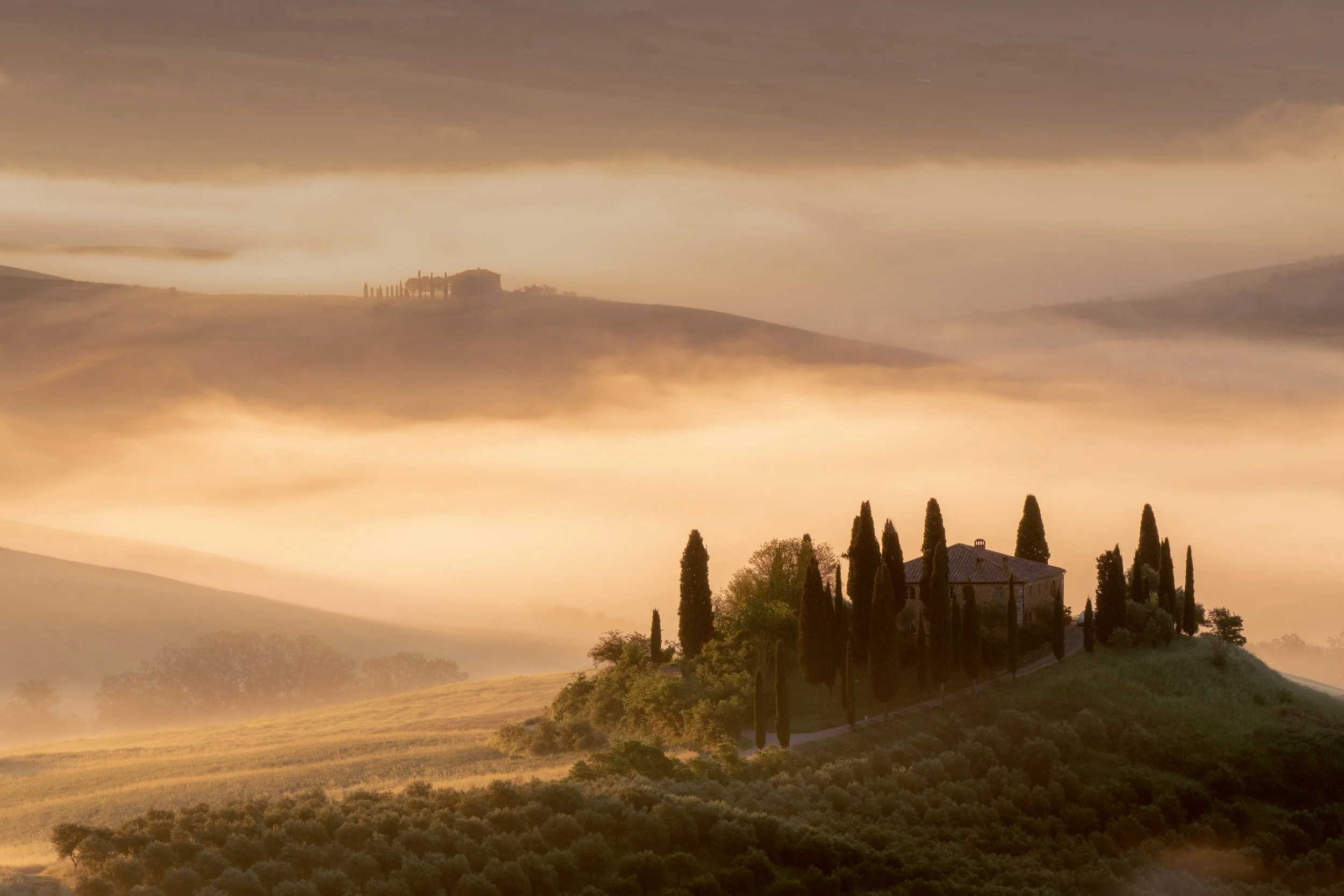 Belvedere Study.jpg