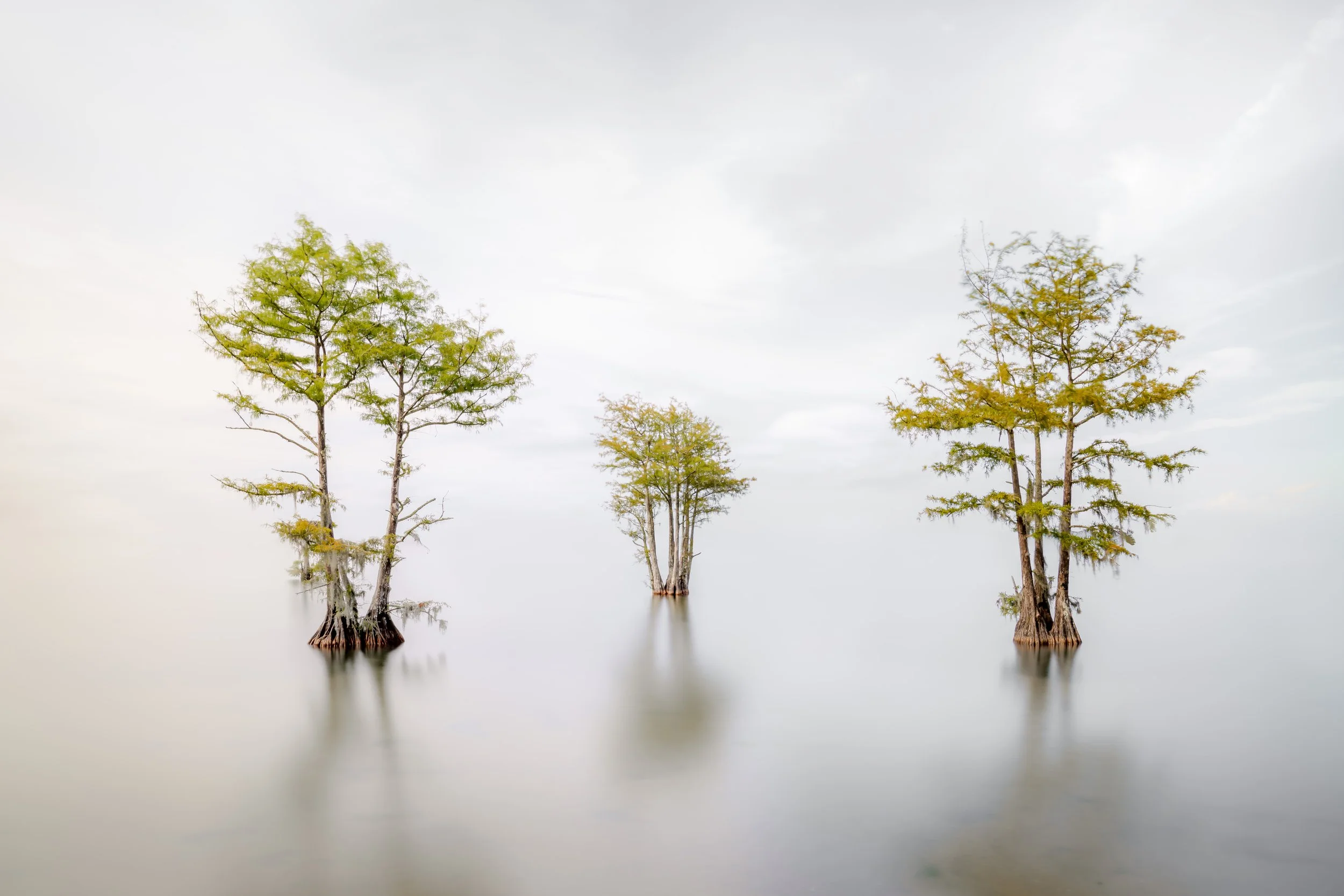 Lake Moultrie III.jpg